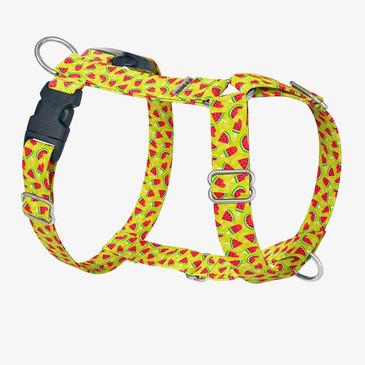 front view of harness front view of harness
